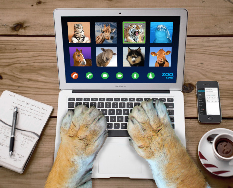 Group Coaching 2_website_pixabay_Brian Cragun_468x379